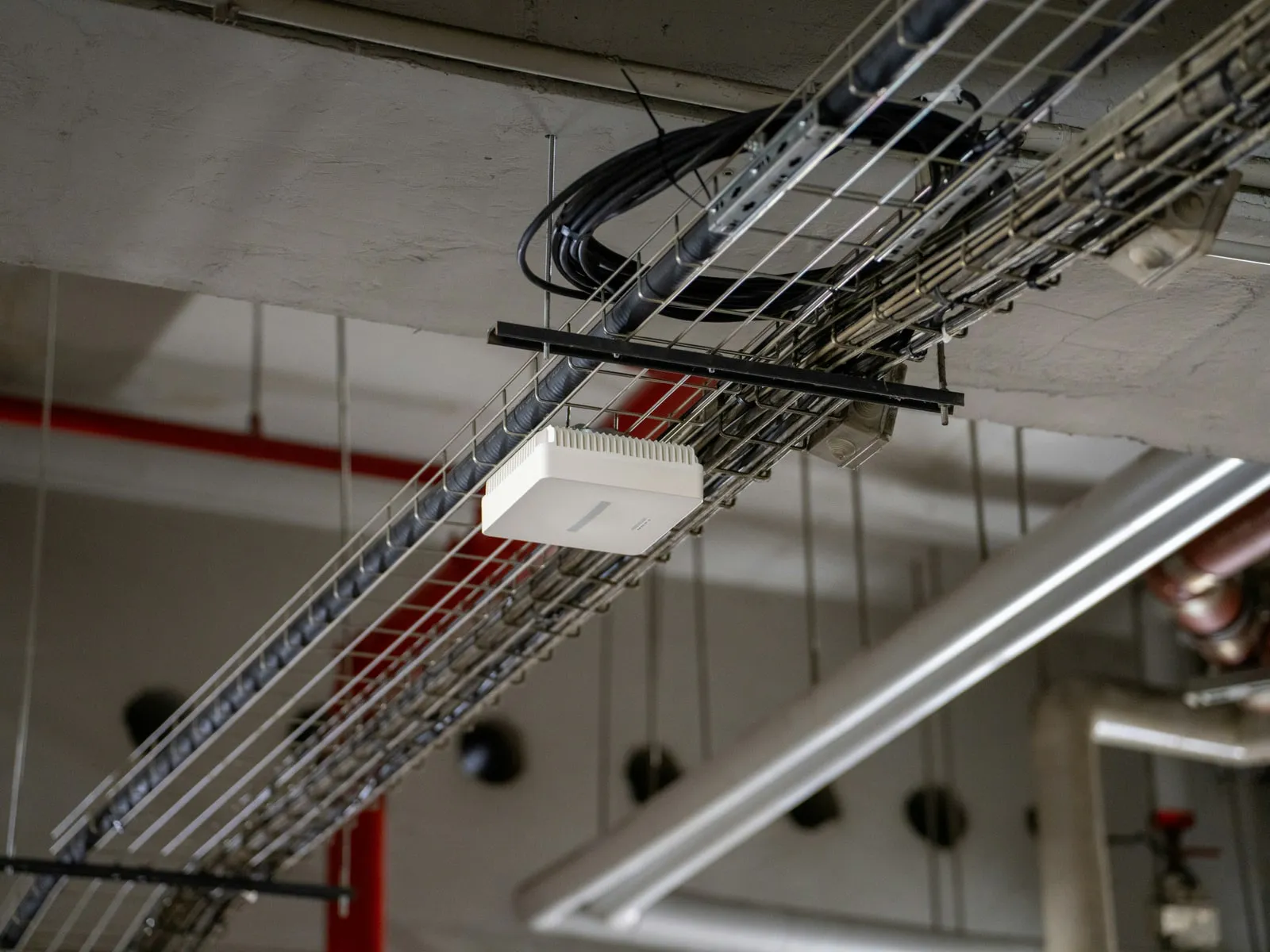 A white square access point fixed beneath a wire-mesh cable tray on a bare concrete ceiling, with coiled black network cable on the tray above.